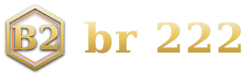 br 222 logo